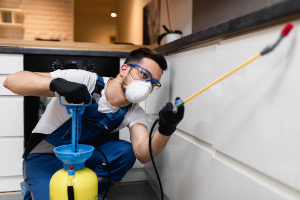 Best Emergency Pest Control  in Rush City, MN