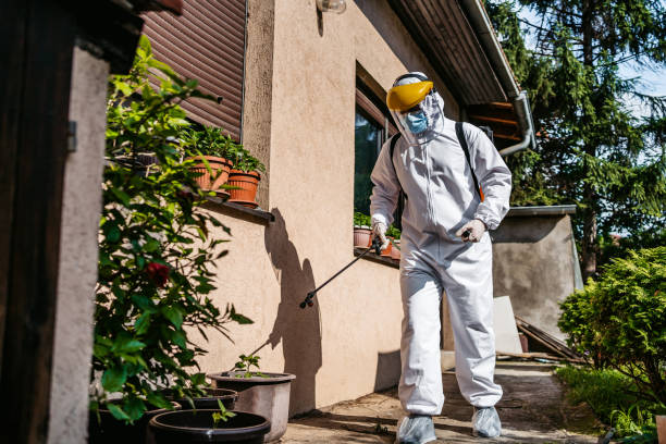 Best Pest Control Near Me  in Rush City, MN