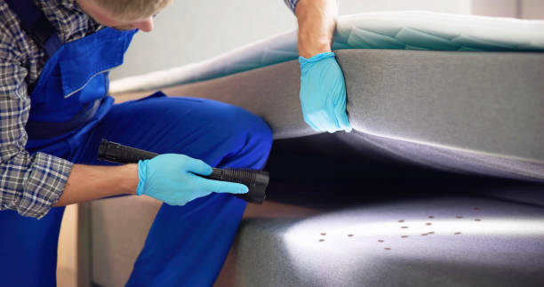 Best Best Pest Control Companies  in Rush City, MN