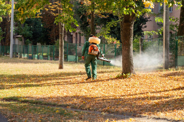 Best Cockroach Control Services  in Rush City, MN